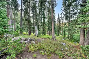 12423 E Camp Tuttle Rd S, Brighton, UT 84121 - Photo 29