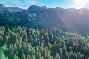 12423 E Camp Tuttle Rd S, Brighton, UT 84121 - Photo 35