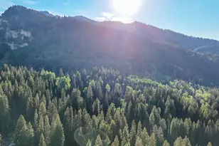 12423 E Camp Tuttle Rd S, Brighton, UT 84121 - Photo 37