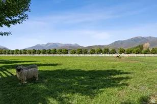 2344 W 3000 S, Heber City, UT 84032 - Photo 165