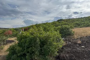 20 Q Puma Rd, Indianola, UT 84629 - Photo 31