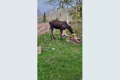 5117 Alpine Rd, Kamas, UT 84036 - Photo 27