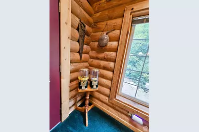 26 Birch Creek Dr #D26, Fairview, UT 84629 - Photo 33