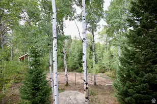 4825 E Balsam Dr, Oakley, UT 84055 - Photo 73