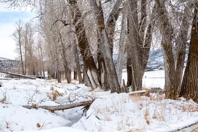 1537 Stewart Ln #4, Kamas, UT 84036 - Photo 5