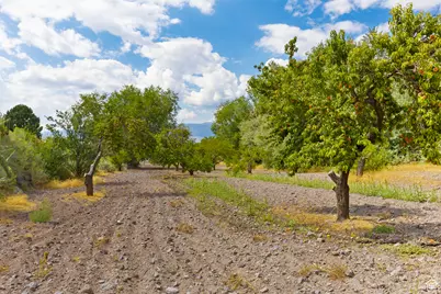 442 E Valley View Ln, Monroe, UT 84754 - Photo 51