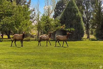 442 E Valley View Ln, Monroe, UT 84754 - Photo 85