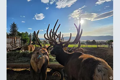 442 E Valley View Ln, Monroe, UT 84754 - Photo 87