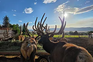 442 E Valley View Ln, Monroe, UT 84754 - Photo 87