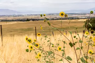 75 W 11200 S, Woodland Hills, UT 84653 - Photo 53