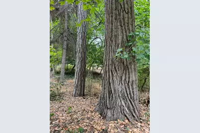 2318 E Walker Ln, Holladay, UT 84117 - Photo 37