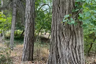 2318 E Walker Ln, Holladay, UT 84117 - Photo 37