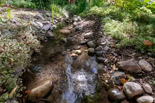 2318 E Walker Ln, Holladay, UT 84117 - Photo 29