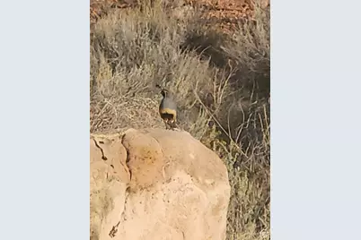 129 S Sand Trap Cir S #70, Kanab, UT 84741 - Photo 5