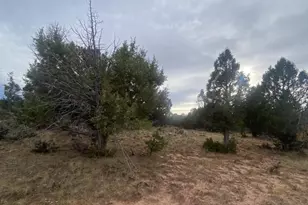 45711 W Colt Rd, Fruitland, UT 84027 - Photo 33