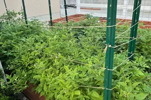 802 E 1120 N, Tooele, UT 84074 - Photo 25