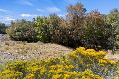 1067 S Summit Dr, Woodland Hills, UT 84653 - Photo 13
