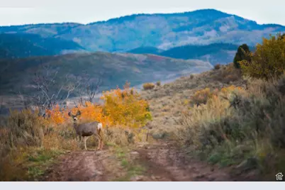 7555 E Stardust Ct #3.39, Heber City, UT 84032 - Photo 49