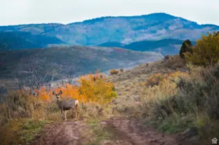 7555 E Stardust Ct, Heber City, UT 84032 - Photo 49