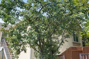 2297 W New Harvest Ln, Lehi, UT 84043 - Photo 33