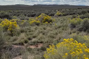 [Address not provided], La Sal, UT 84530 - Photo 1