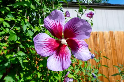 2119 S King St E, Salt Lake City, UT 84109 - Photo 31