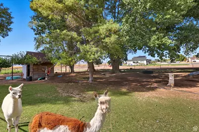 8185 N 4600 W, Elwood, UT 84337 - Photo 41