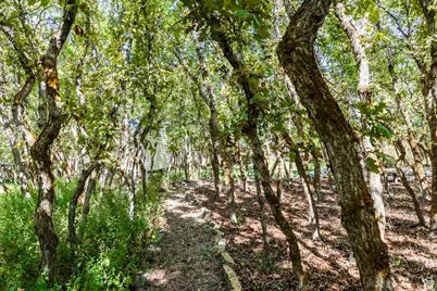 557 S Elk Meadow Loop, Tooele, UT 84074 - Photo 51