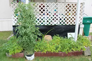 58 1910 3920 S, Roy, UT 84067 - Photo 9