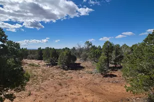 144 Canyon Terrace Dr S, Monticello, UT 84535 - Photo 15