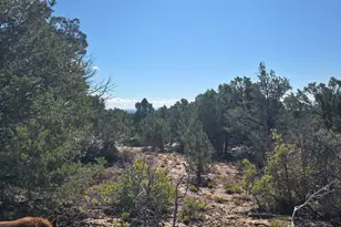 144 Canyon Terrace Dr S, Monticello, UT 84535 - Photo 13