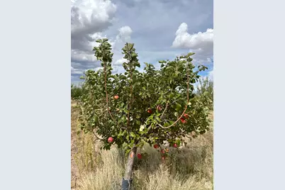 5700 W 19.6 Acres Beryl W/Utilities, Beryl, UT 84714 - Photo 21