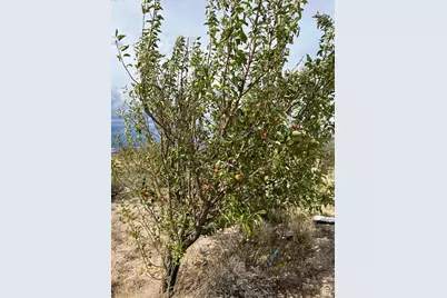 5700 W 19.6 Acres Beryl W/Utilities, Beryl, UT 84714 - Photo 9