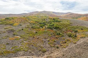 1878 S Remuda Run Ct, Heber City, UT 84032 - Photo 21