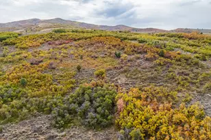 1878 S Remuda Run Ct, Heber City, UT 84032 - Photo 17