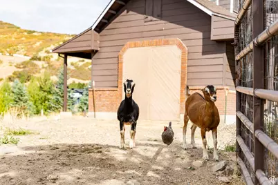 1801 N Fort Canyon Rd, Alpine, UT 84004 - Photo 71