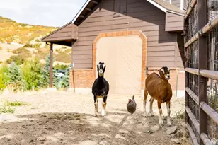 1801 N Fort Canyon Rd, Alpine, UT 84004 - Photo 71