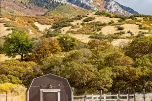 1801 N Fort Canyon Rd, Alpine, UT 84004 - Photo 77