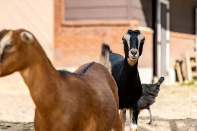 1801 N Fort Canyon Rd, Alpine, UT 84004 - Photo 9