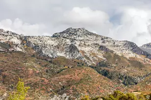 1801 N Fort Canyon Rd, Alpine, UT 84004 - Photo 13