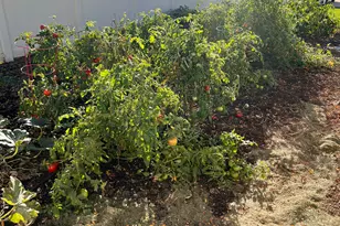 1795 S 225 W, Perry, UT 84302 - Photo 65