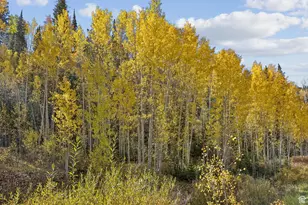 95 Black Diamond Rd, Scofield, UT 84526 - Photo 41