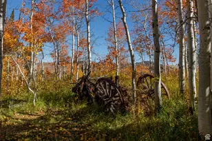 10964 E Chukar Dr, Huntsville, UT 84317 - Photo 55