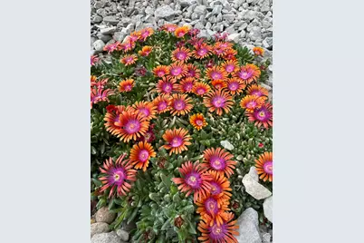 1860 E 880 N, Price, UT 84501 - Photo 41