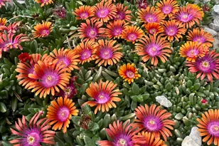 1860 E 880 N, Price, UT 84501 - Photo 41