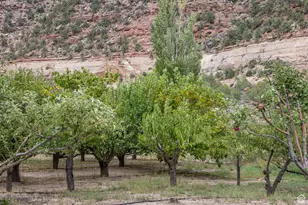 1095 S Montezuma Canyon Rd, Monticello, UT 84535 - Photo 87