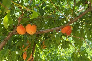 790 W 1000 S, Huntington, UT 84528 - Photo 95