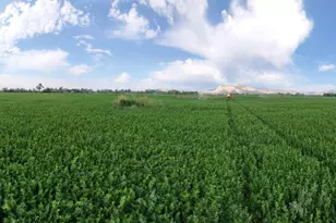 790 W 1000 S, Huntington, UT 84528 - Photo 99