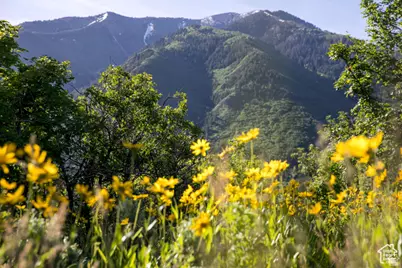 1031 S Summit Dr #143, Woodland Hills, UT 84653 - Photo 9