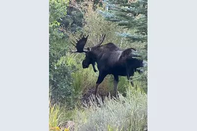 3465 W Cedar Dr #53, Park City, UT 84098 - Photo 41